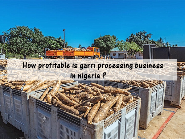 How profitable is garri processing business in nigeria ?