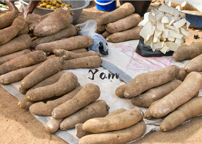 yam in africa